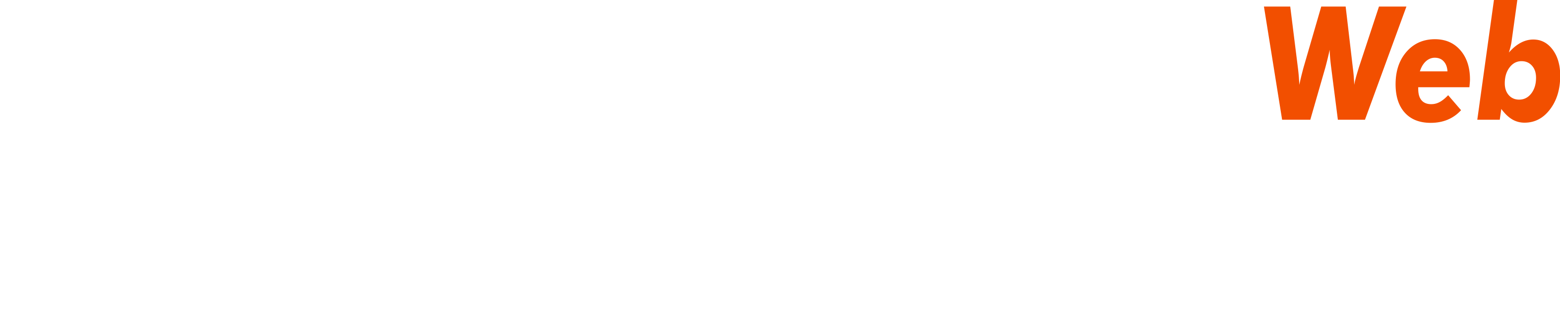 VirtualWeb